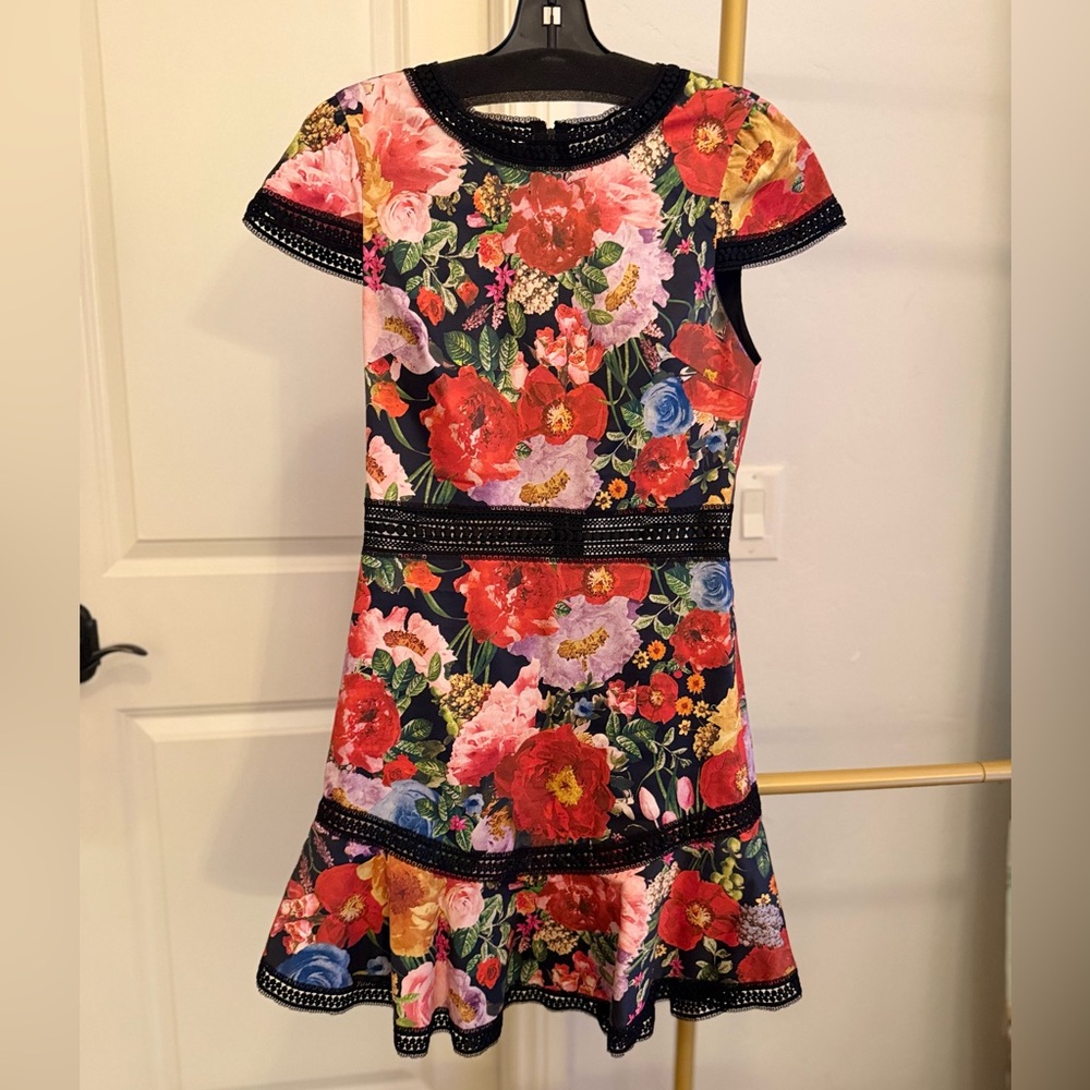 Alice + Olivia Pink and Red Fit and Flare Mini Dress